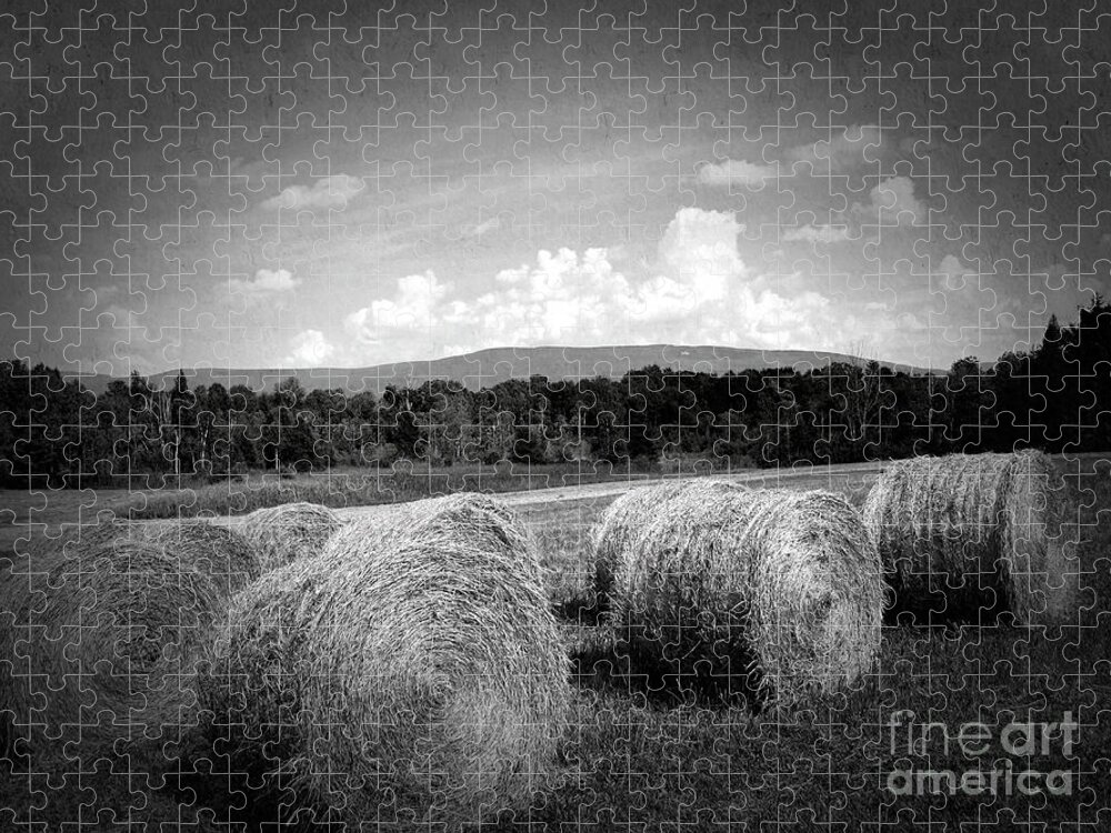 Bales Jigsaw Puzzle featuring the photograph Bales in Monochrome by Onedayoneimage Photography