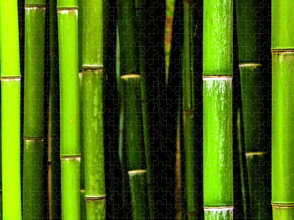 Green Bamboo Jigsaw Puzzle featuring the photograph Bamboo Sticks by Wolfgang Stocker