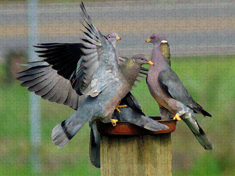 Birds Jigsaw Puzzle featuring the photograph Band-Tailed Pigeons #1 by Ben Upham III