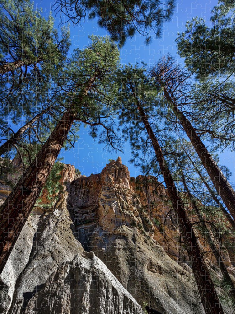 Bandelier Jigsaw Puzzle featuring the photograph Bandelier Cliffs and Trees by Stuart Litoff