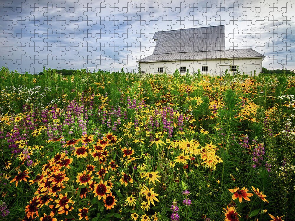 Gloriosa Daisy Jigsaw Puzzle featuring the photograph Barn and Wildflowers by Ron Pate