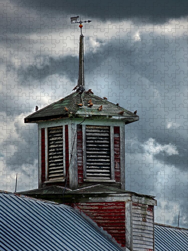 Vermont Jigsaw Puzzle featuring the photograph Barn Cupola with Birds in Vermont by Nancy Griswold
