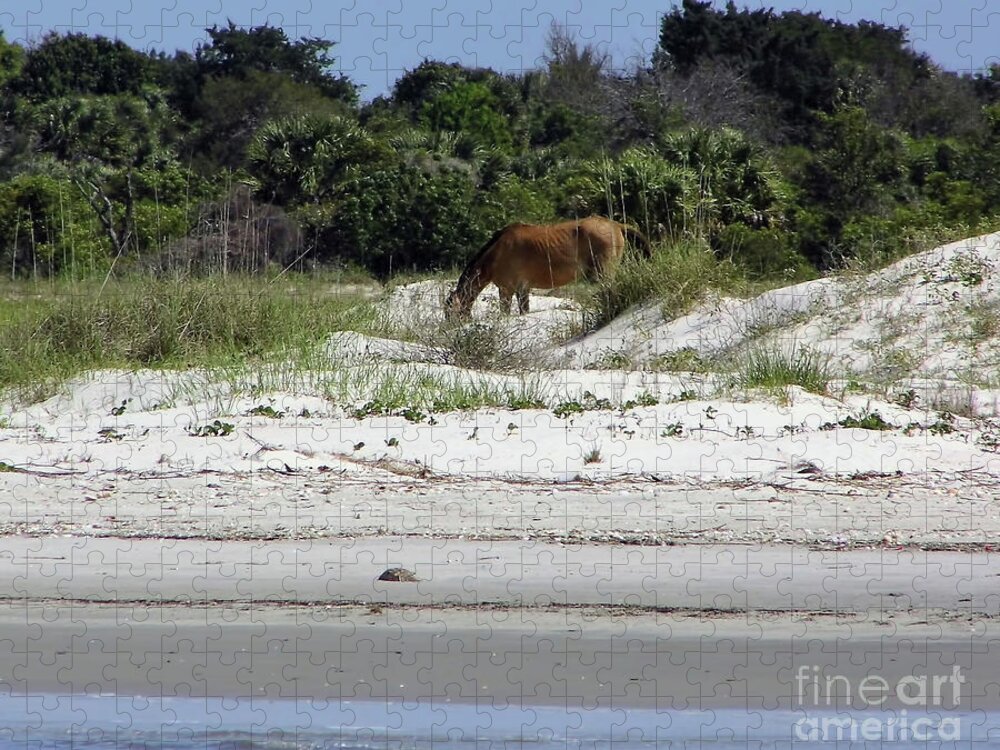Wild Horse Jigsaw Puzzle featuring the photograph Bay At The Beach by D Hackett