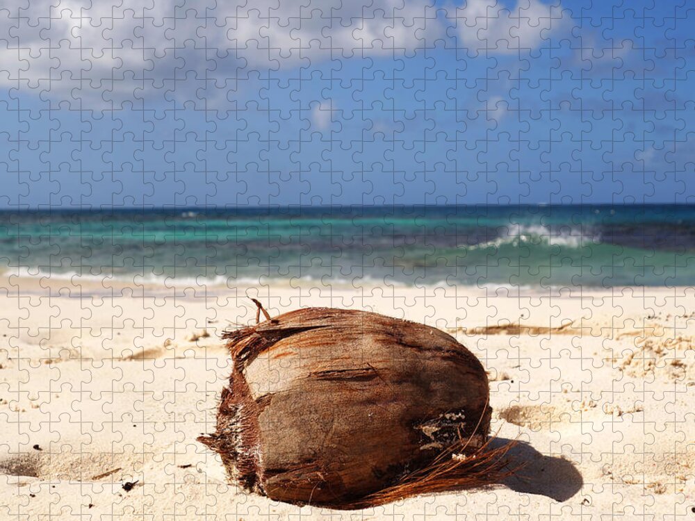 Anguilla Jigsaw Puzzle featuring the photograph Beach Coconut in Anguilla on Shoal Beach in Shoal Bay by Toby McGuire