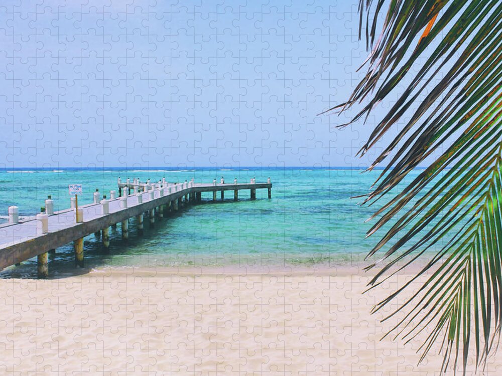 Grand Cayman Jigsaw Puzzle featuring the photograph Beach Dreams by Iryna Goodall