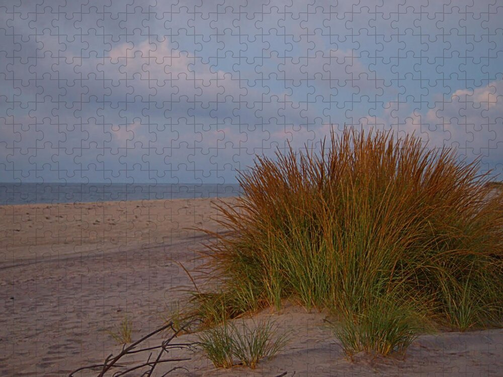 Beach Jigsaw Puzzle featuring the photograph Beach Grass I I I by Newwwman