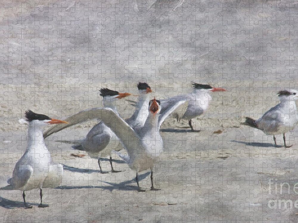 Royal Tern Jigsaw Puzzle featuring the digital art Beach Party by Jayne Carney