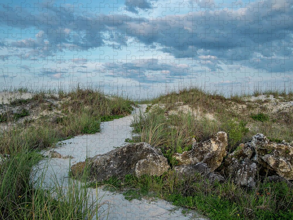 Beach Path # St. Augustine Beach # Dunes # Sea Grass # Travel Jigsaw Puzzle featuring the photograph Beach Path by Louis Ferreira