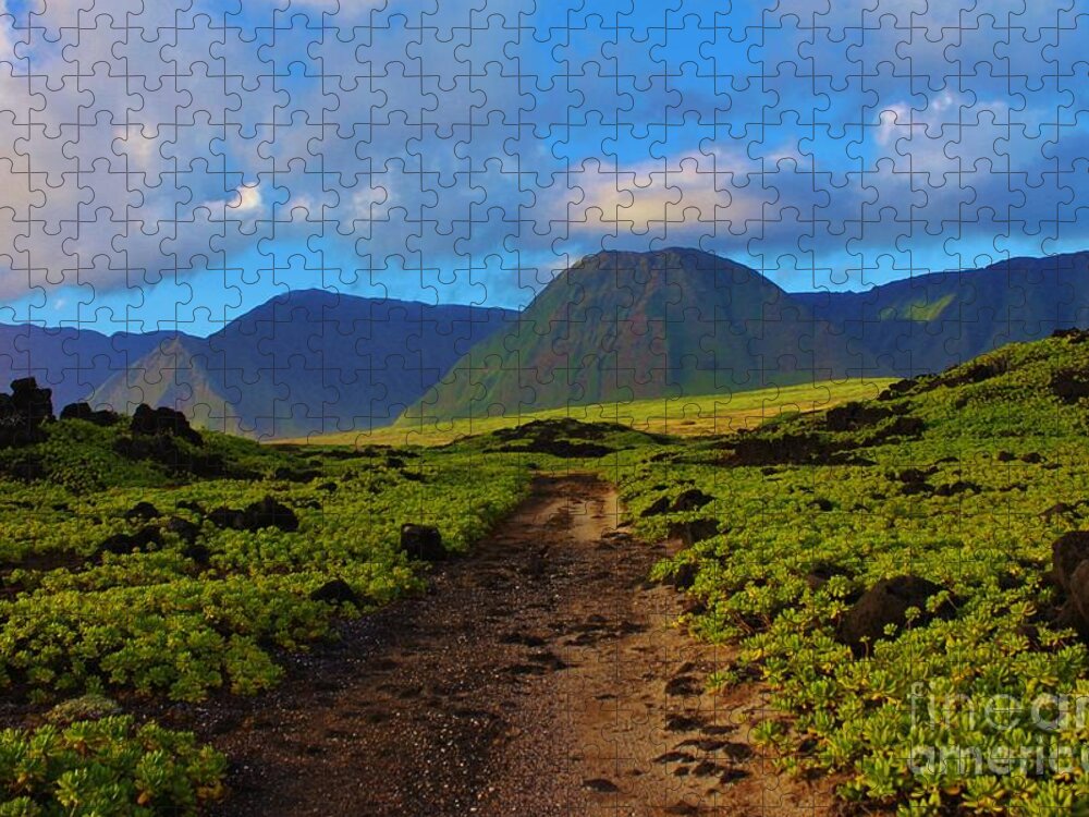 Kalaupapa Jigsaw Puzzle featuring the photograph Beach Road Kalaupapa by Craig Wood