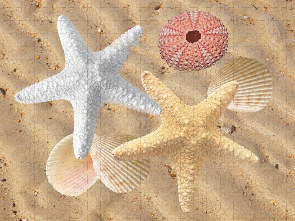 Sea Star Jigsaw Puzzle featuring the photograph Beachcombing by Gill Billington