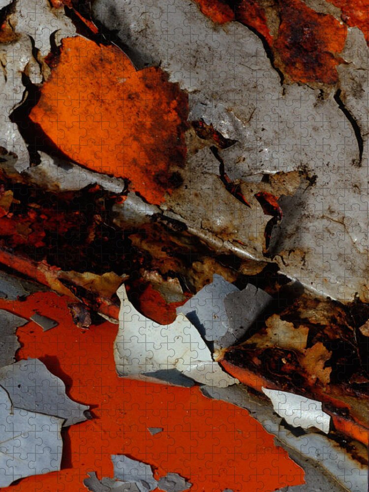 Abstract Detail Jigsaw Puzzle featuring the photograph Beautiful Decay by Irwin Barrett