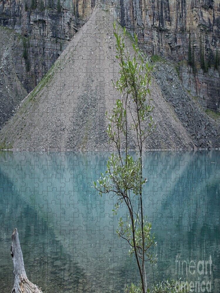 Jasper Jigsaw Puzzle featuring the photograph Lake Moraine by Patricia Hofmeester