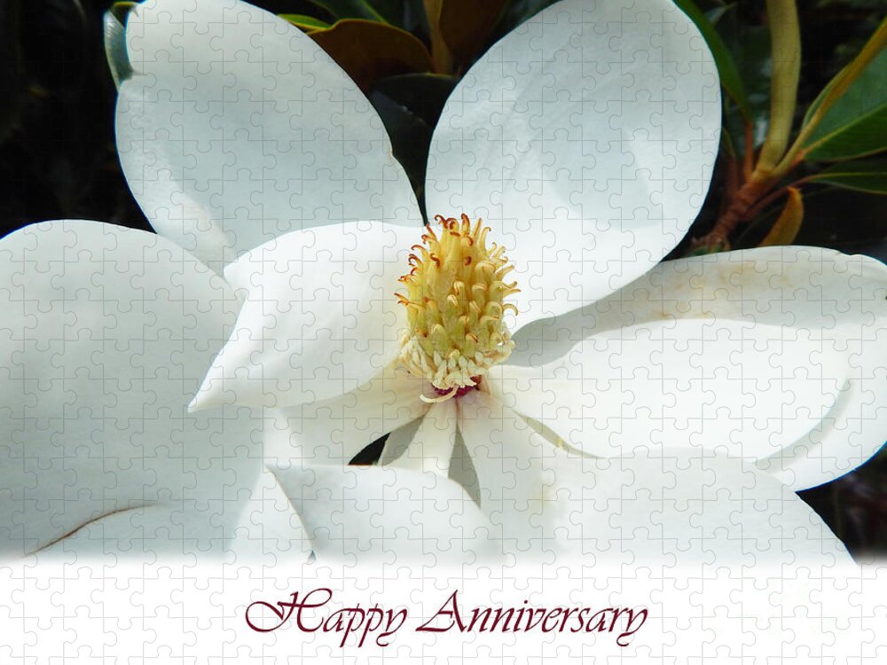 Hopelands Gardens Jigsaw Puzzle featuring the photograph Beautiful Magnolia Flower Happy Anniversary Card by Amy Dundon