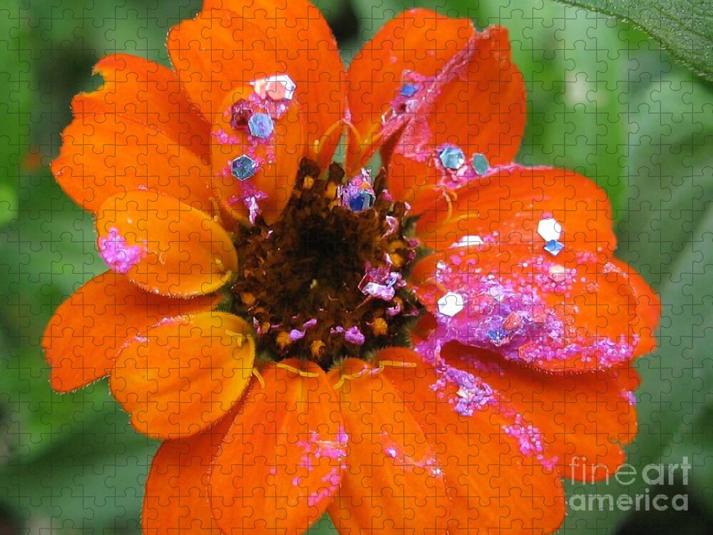Flower Jigsaw Puzzle featuring the photograph Bedazzled by Glenda Zuckerman
