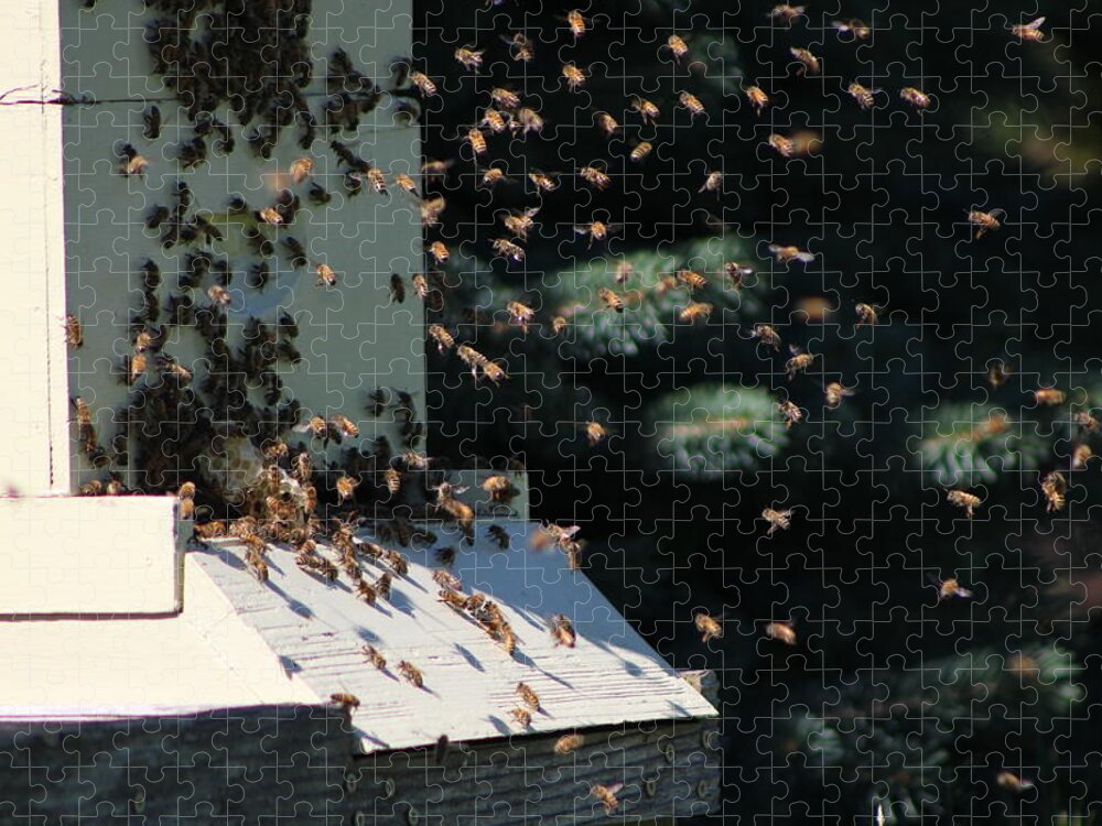 Honey Bee Jigsaw Puzzle featuring the photograph Bee Keepers Hive Chicago Botanical Gardens by Colleen Cornelius