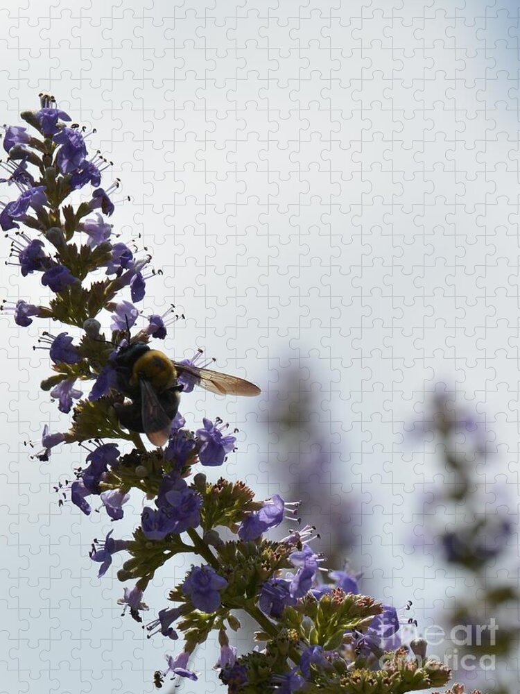 Bee On Butterfly Bush Jigsaw Puzzle featuring the photograph Bee on Butterfly Bush by Maria Urso