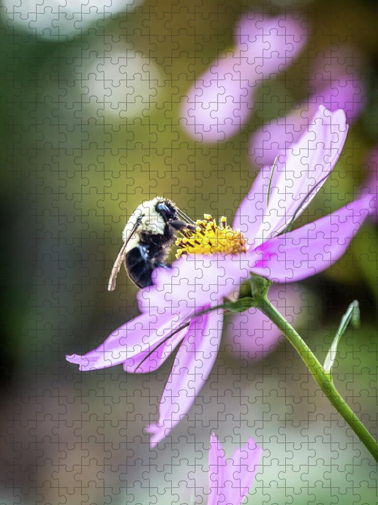 Nature Jigsaw Puzzle featuring the photograph Bee on Flower by Framing Places