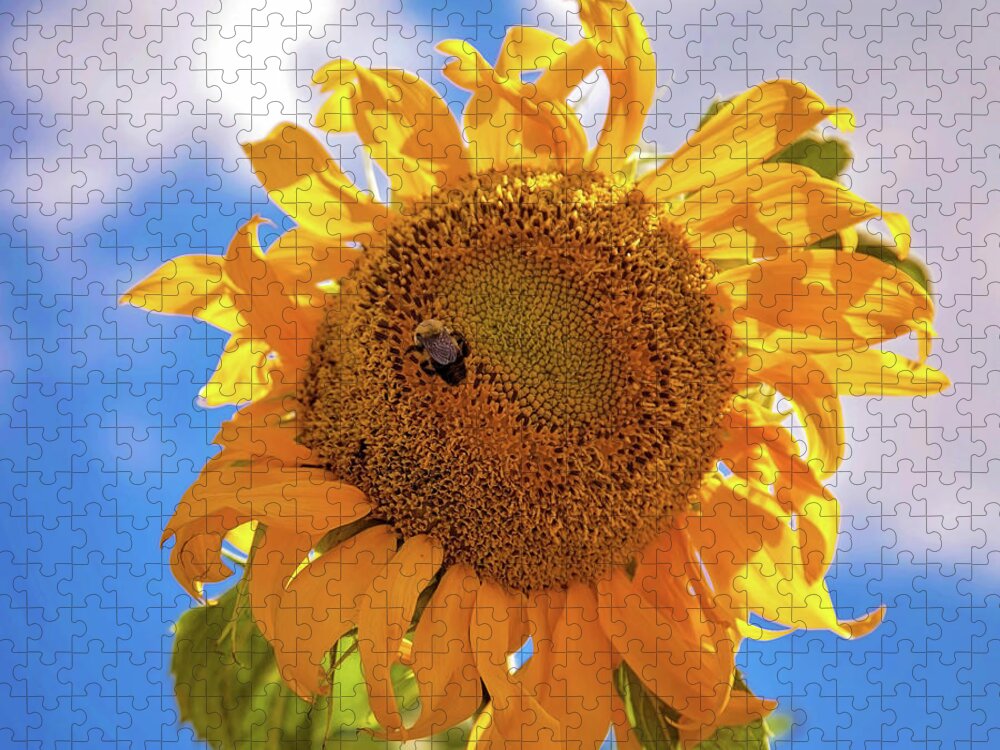 Sunflower Jigsaw Puzzle featuring the photograph Bee shaded by Sunflower by Toni Hopper