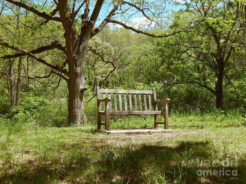 Photography Jigsaw Puzzle featuring the photograph Bench In Nature by Phil Perkins
