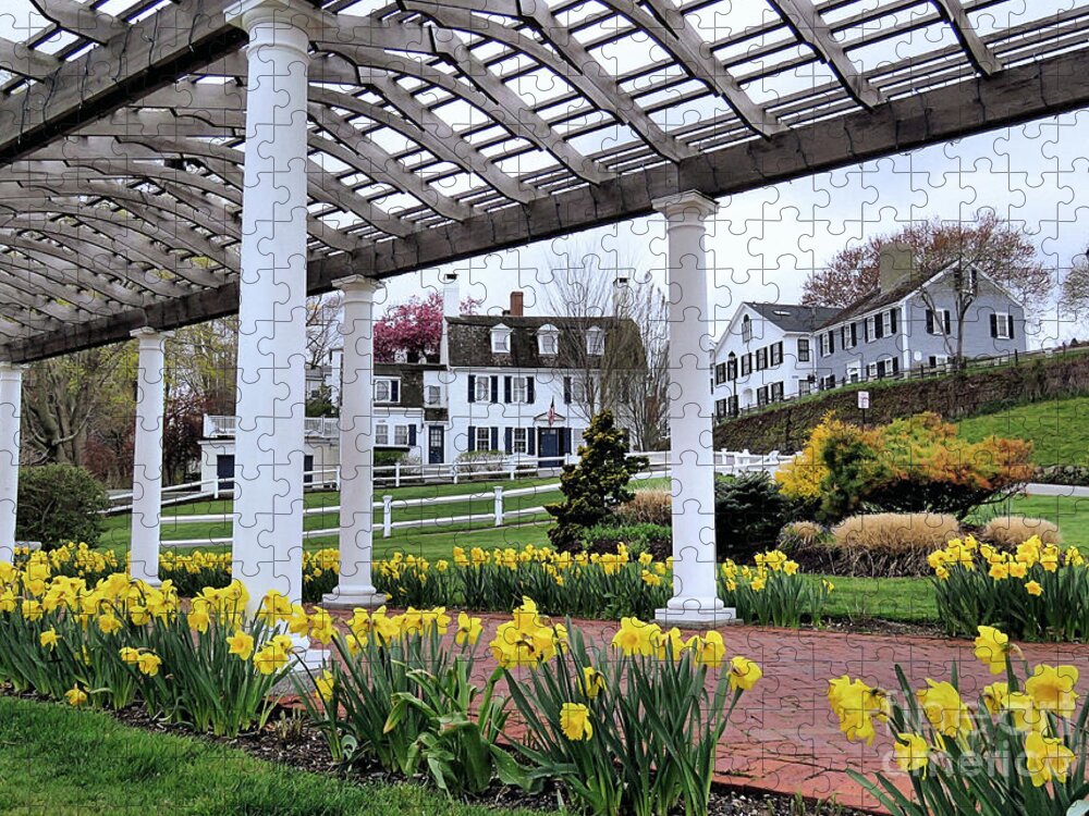 Pergola Jigsaw Puzzle featuring the photograph Beneath the Pergola by Janice Drew