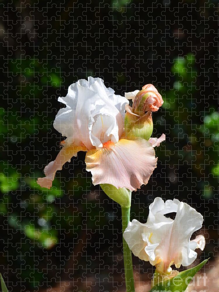 Bent On Beauty Jigsaw Puzzle featuring the photograph Bent on Beauty by Maria Urso