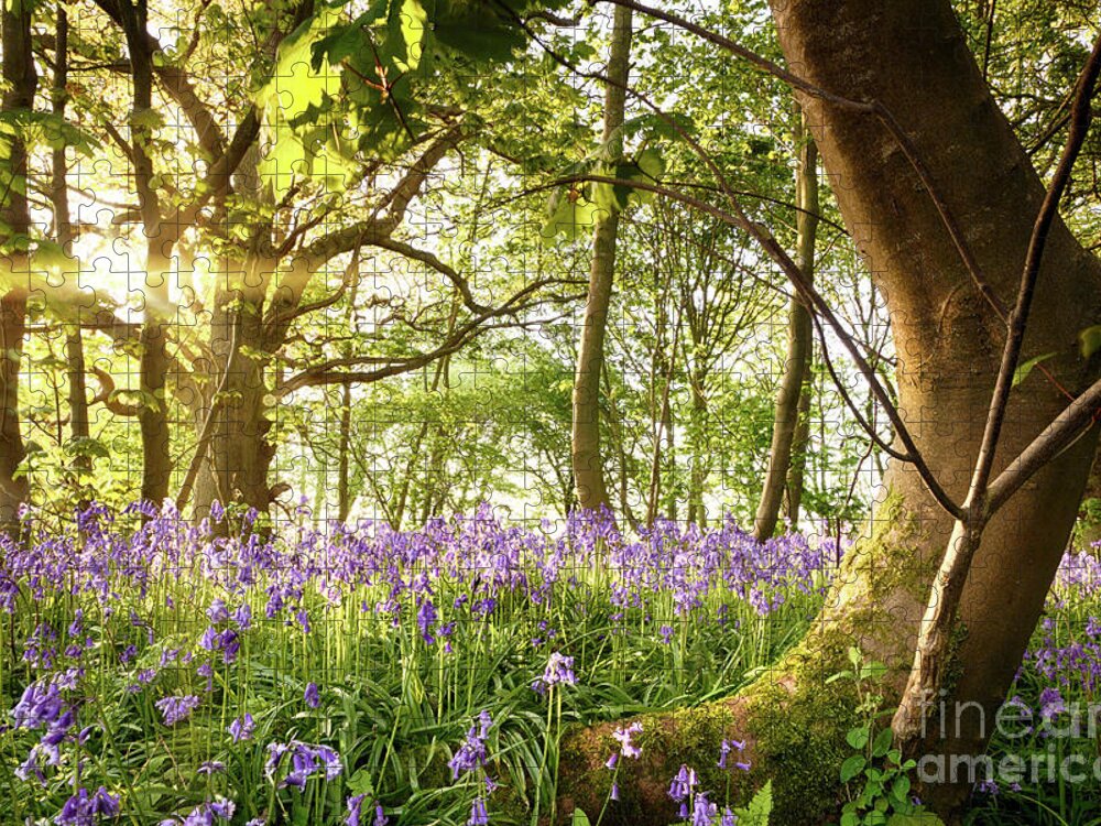 Forest Jigsaw Puzzle featuring the photograph Bent tree in bluebell forest by Simon Bratt