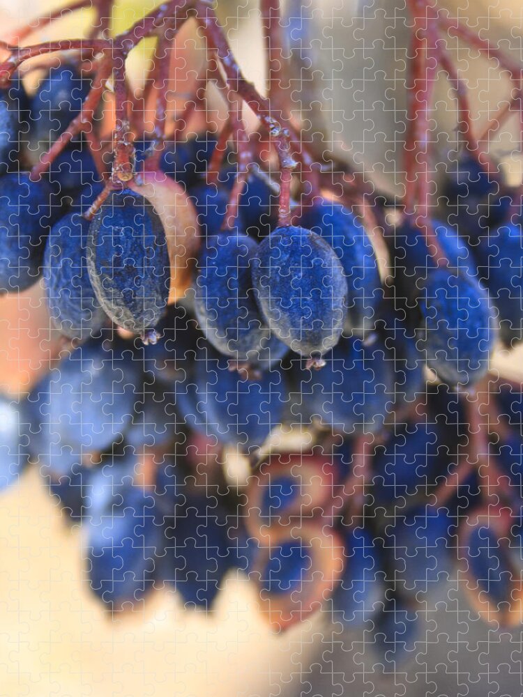 Berries Jigsaw Puzzle featuring the photograph Berries Blue Too by Scott Wood