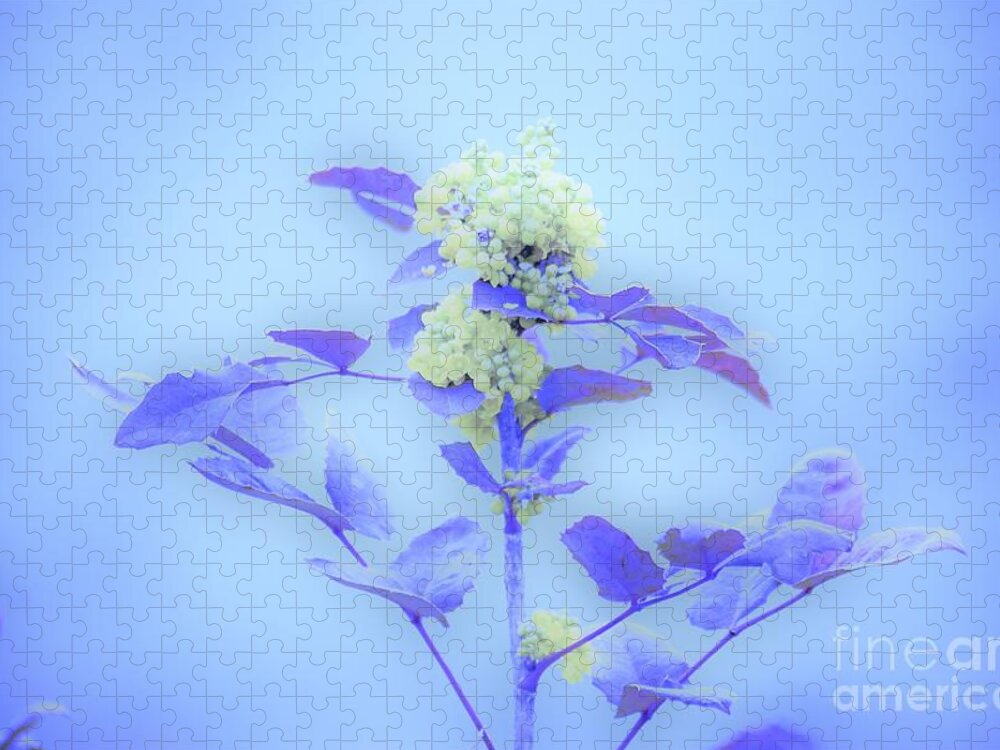 Floral Jigsaw Puzzle featuring the photograph Berries on blue by Merle Grenz