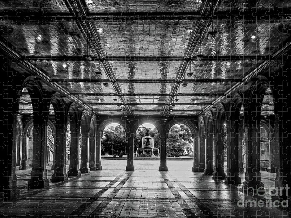 Central Park Jigsaw Puzzle featuring the photograph Bethesda Terrace Arcade 2 - BW by James Aiken