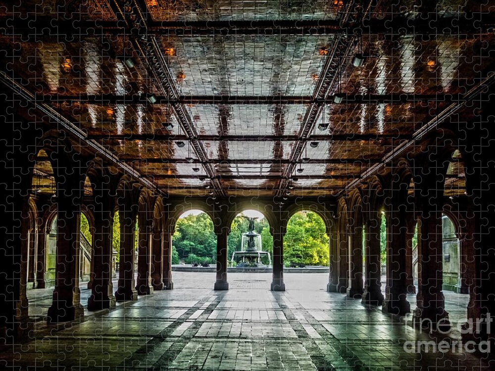 Central Park Jigsaw Puzzle featuring the photograph Bethesda Terrace Arcade 2 by James Aiken