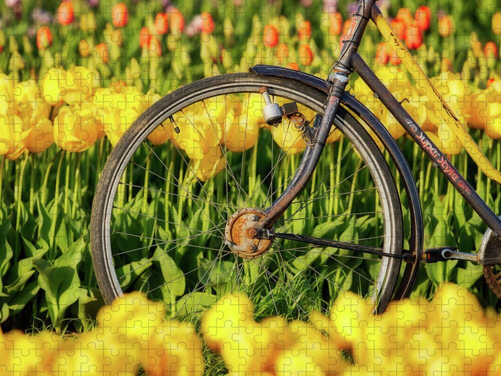 Beautiful Jigsaw Puzzle featuring the photograph Bicycle Wheel and Tulips by Jerry Fornarotto