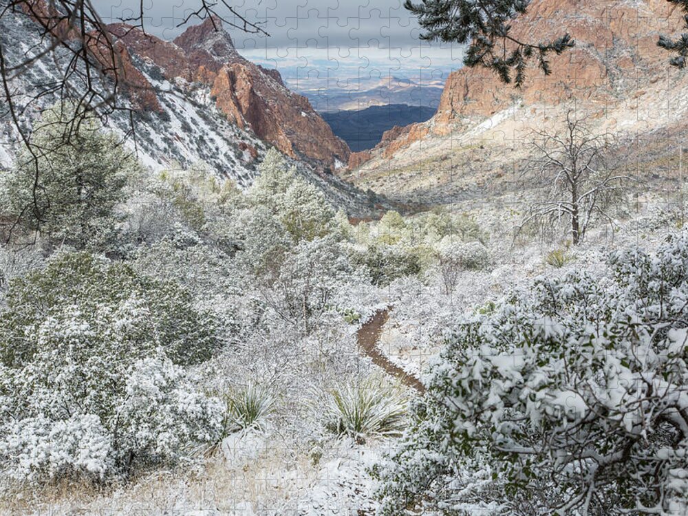 Snow Jigsaw Puzzle featuring the photograph Big Bend Window With Snow by Kathy Adams Clark