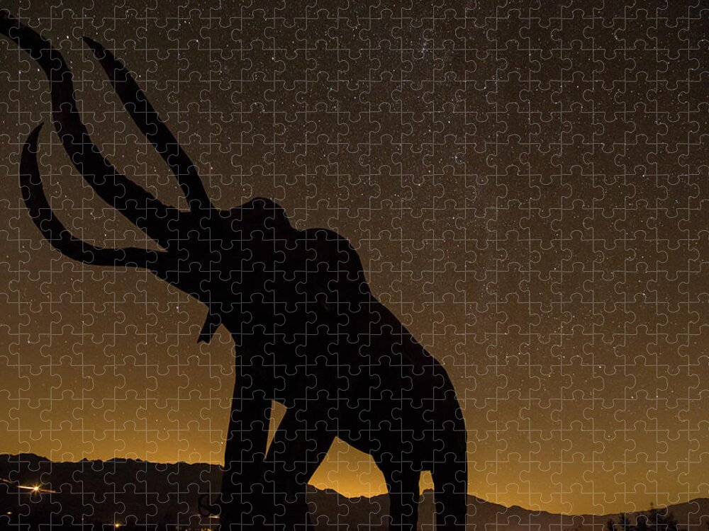 Anza Borrego Sculptures Jigsaw Puzzle featuring the photograph Big things by Kunal Mehra
