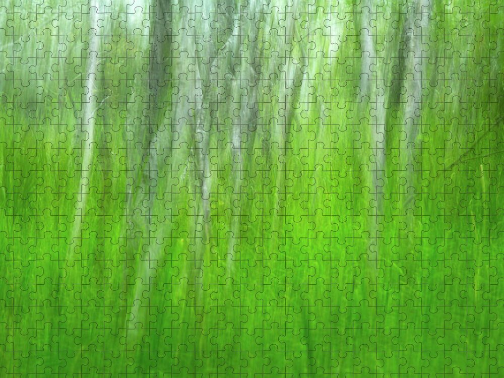 Intentional Camera Movement Jigsaw Puzzle featuring the photograph Birch Tree Summer Dream by Juergen Roth