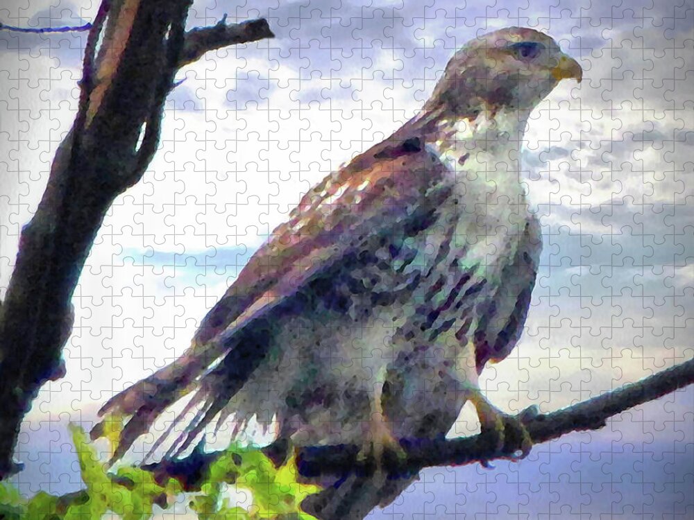 Cedric Hampton Jigsaw Puzzle featuring the photograph Bird of Prey by Cedric Hampton