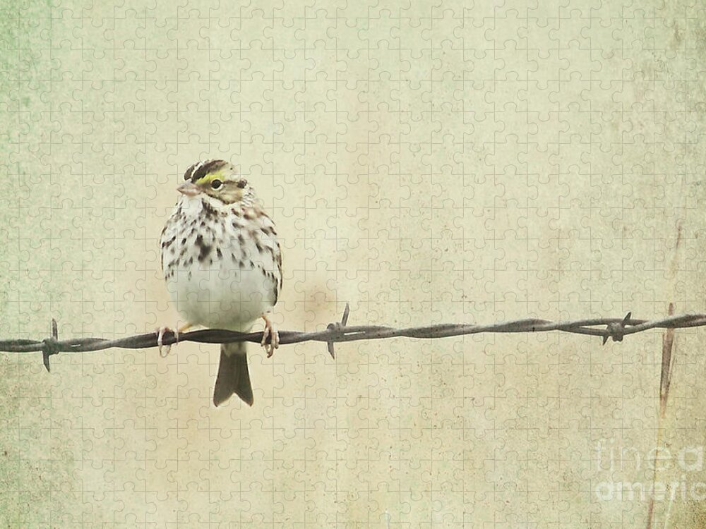 Birds Jigsaw Puzzle featuring the photograph Bird on Barbed Wire by Pam Holdsworth