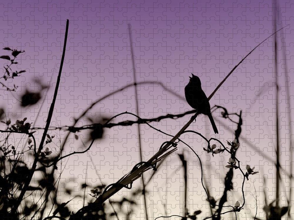 Silhouette Jigsaw Puzzle featuring the photograph Bird Sings by Angie Tirado
