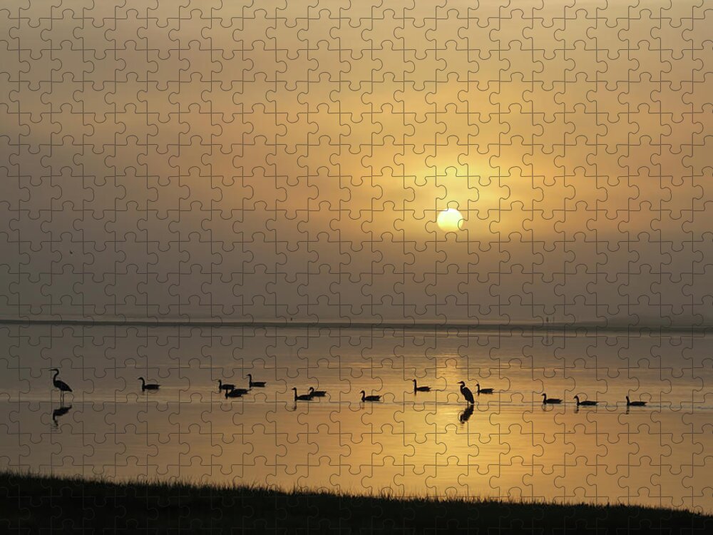Birds Jigsaw Puzzle featuring the photograph Birds On A Hazy Day by Robert Banach