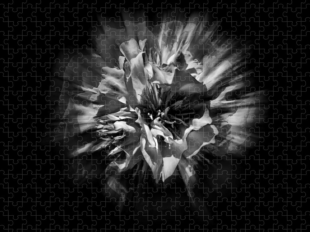 Abstract Jigsaw Puzzle featuring the photograph Black and White Flower Flow 1 by Brian Carson