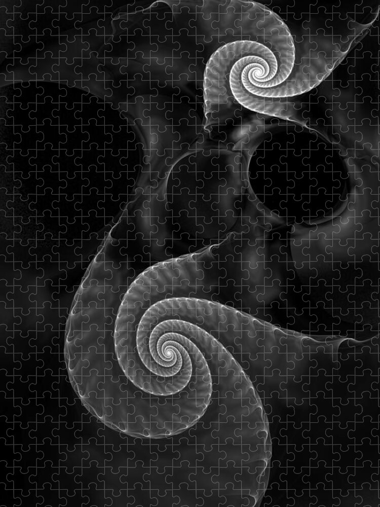 Fractal Jigsaw Puzzle featuring the digital art Black and White Fractal 080810 by David Lane