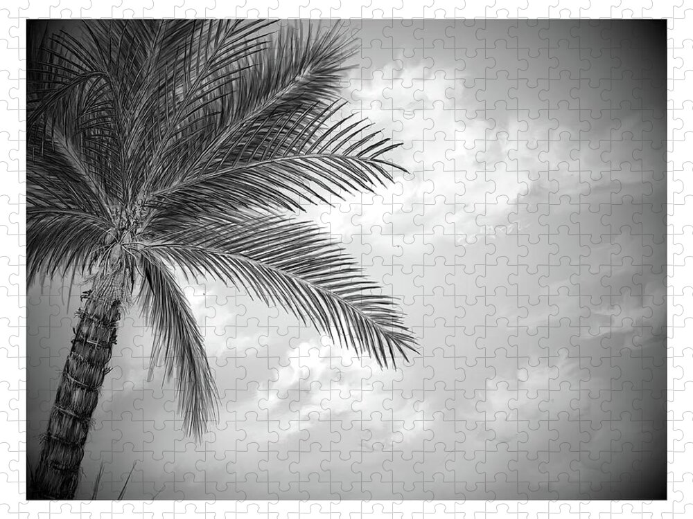 Cloud Jigsaw Puzzle featuring the digital art Black and white palm by Darren Cannell