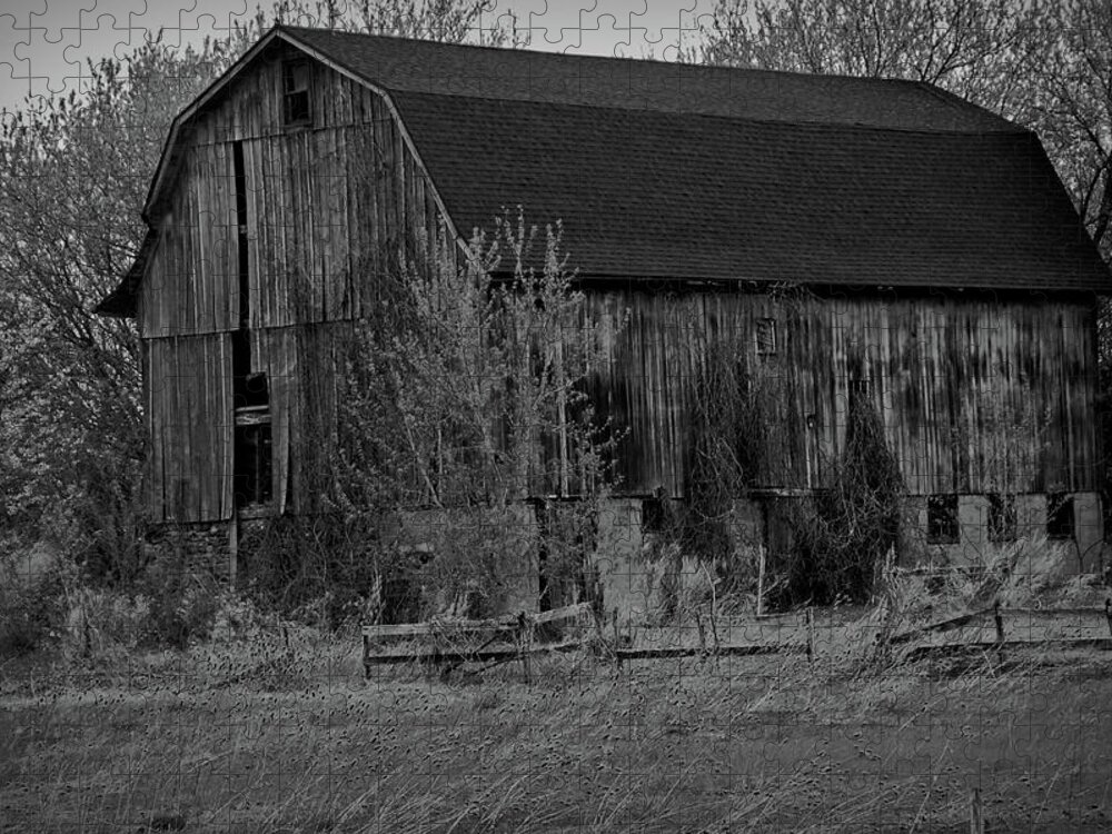 Barn Jigsaw Puzzle featuring the photograph Black and White Rustic Barn Close Up by Aimee L Maher ALM GALLERY