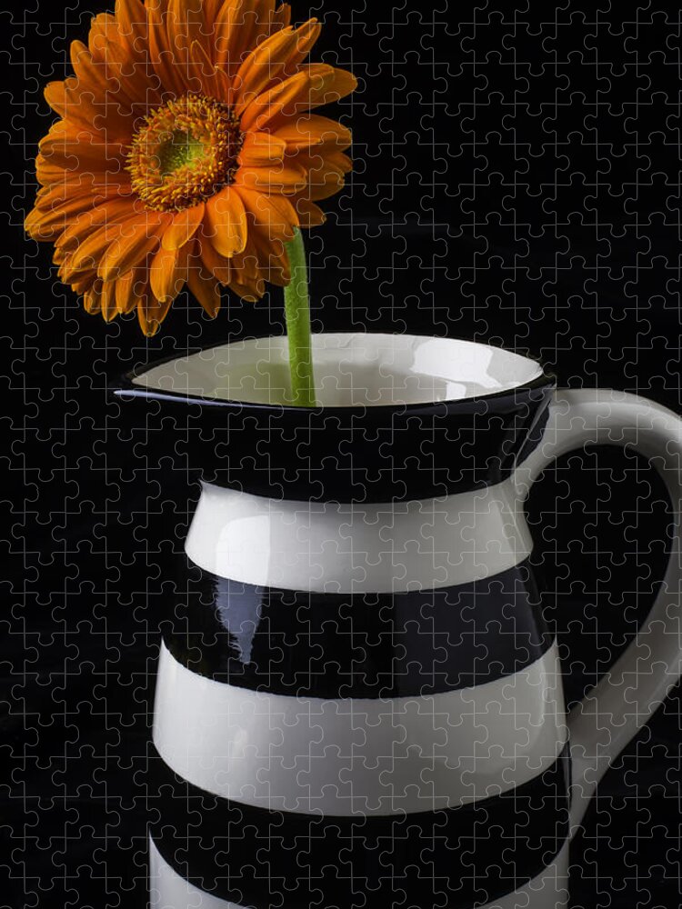 Black And White Jigsaw Puzzle featuring the photograph Black And White Vase With Daisy by Garry Gay