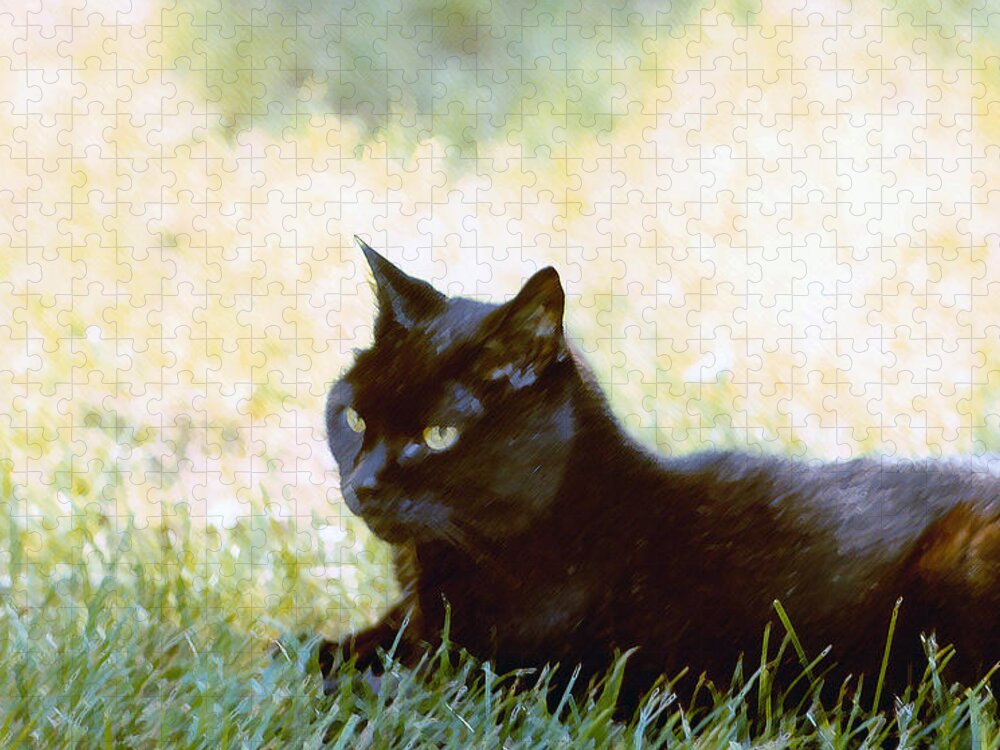 Black Cat Jigsaw Puzzle featuring the photograph Black Cat in the Sun by Geoff Jewett