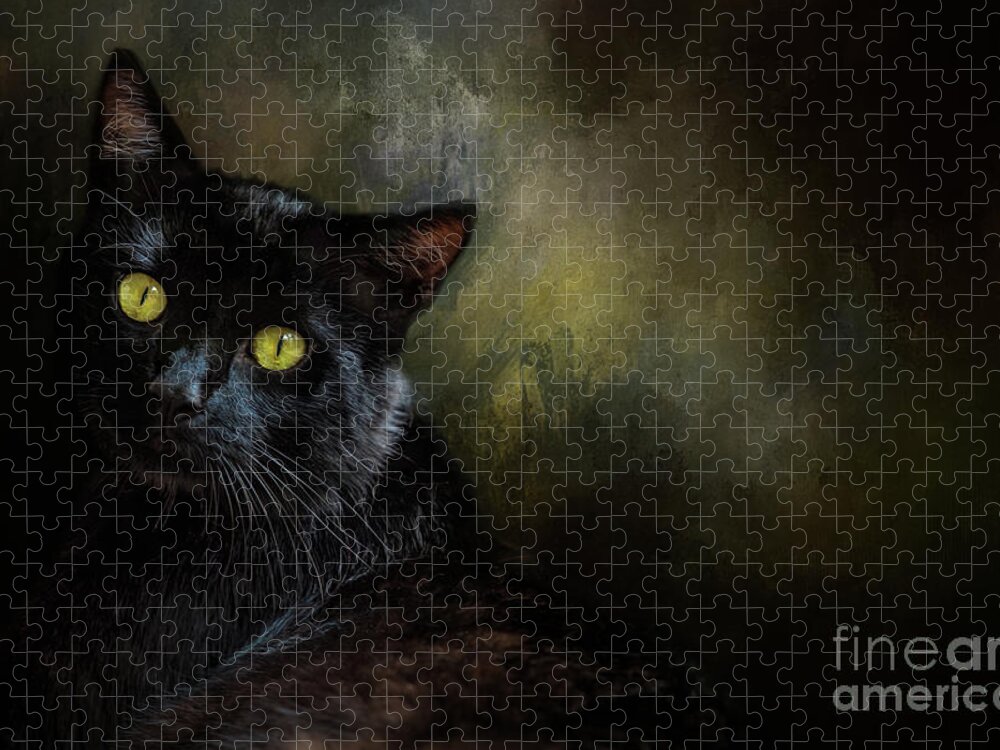 Black Cat Jigsaw Puzzle featuring the photograph Black Cat Portrait by Eleanor Abramson