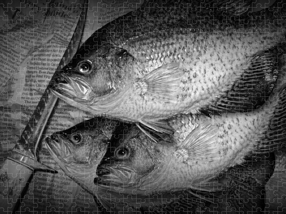 Crappie Jigsaw Puzzle featuring the photograph Black Crappie Panfish with Fish Filet Knife in Black and White by Randall Nyhof