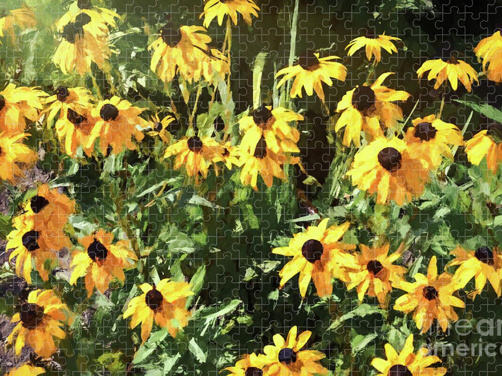 Painting Jigsaw Puzzle featuring the photograph Black-eyed Susan Yellow Flowers by Andrea Anderegg