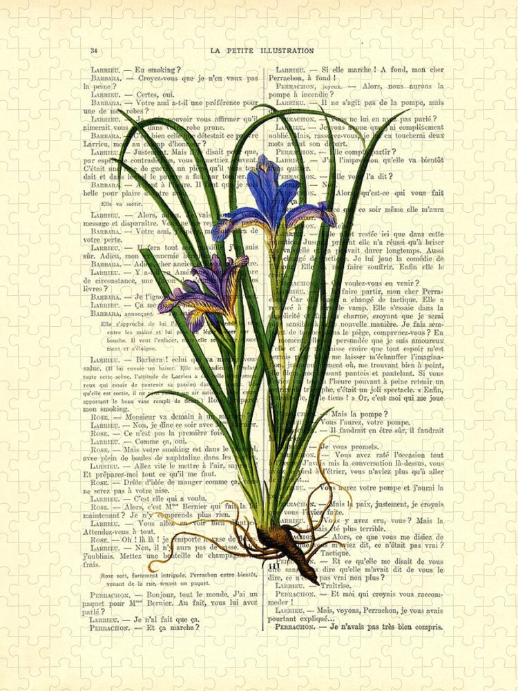 Black Iris Puzzle featuring the digital art Black iris antique illustration on Dictionary page by Madame Memento