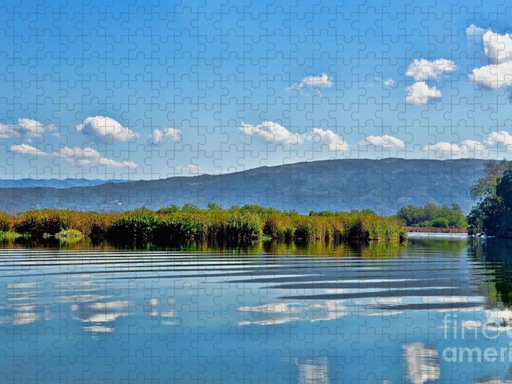 River Jigsaw Puzzle featuring the photograph Black River Jamaica by Elaine Manley