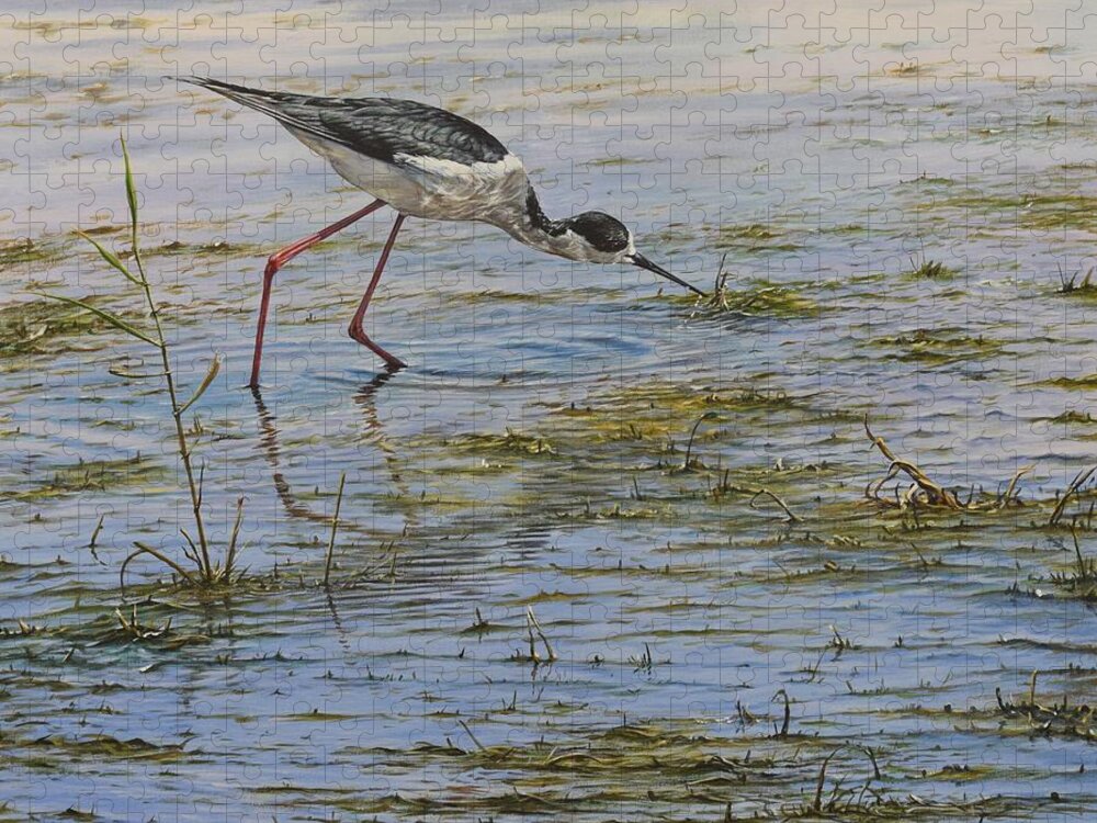Wildlife Paintings Jigsaw Puzzle featuring the painting Black WInged Stilt by Alan M Hunt